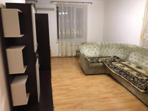 Apartment on Ozernaya 62